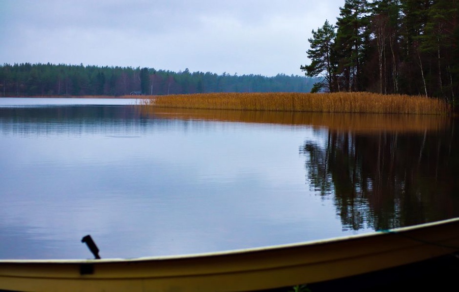 Read more about the article Finnish Mythology and Thrash Metal: Reading the Evidence