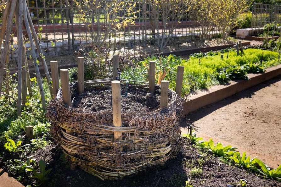 Read more about the article How to Start Composting at Home