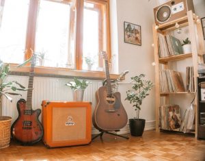 Read more about the article Houseplant Care Around a Home Music Archive