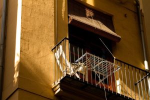 Read more about the article Starting a Balcony Garden: Light, Containers and First Plants