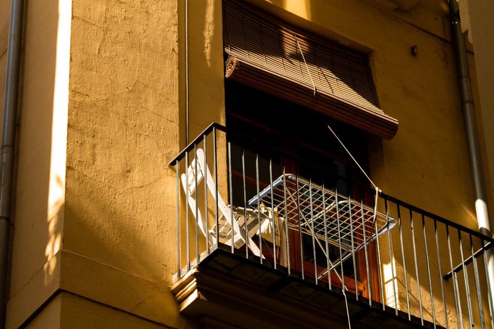 Read more about the article Starting a Balcony Garden: Light, Containers and First Plants